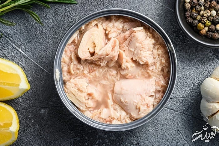 کنسرو ماهی تن ماهی